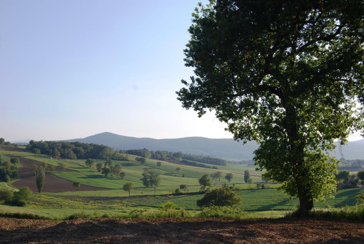 Bilocale Verde Umbria Montecastrilli المظهر الخارجي الصورة