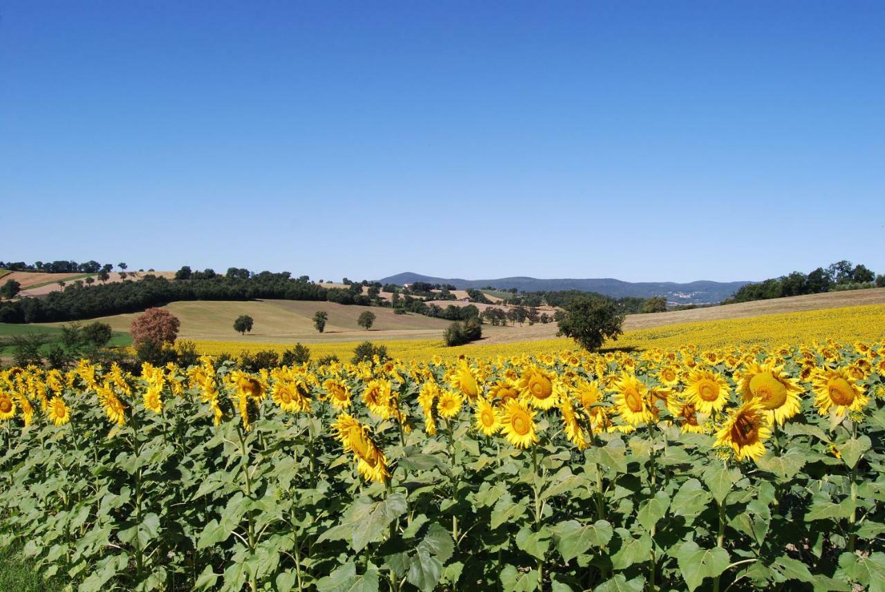 Bilocale Verde Umbria Montecastrilli المظهر الخارجي الصورة